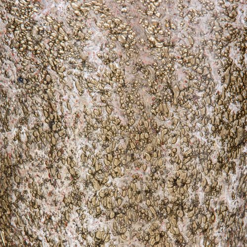 Brass inclusion blown glass vase by Alberto Dona