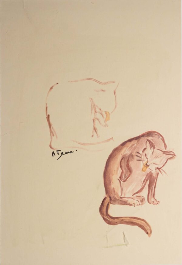 1930's French lithograph of a Study of cat