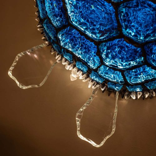 Blue Turtle illuminating sculpture by Campanella