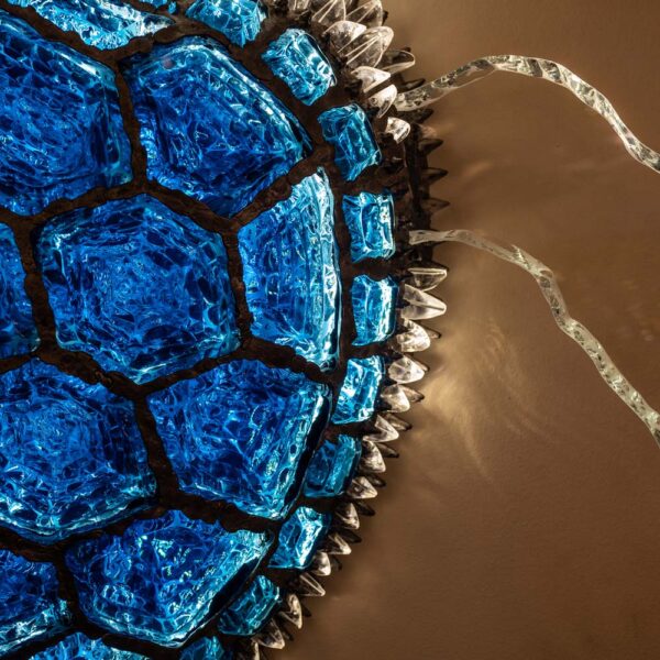 Blue Turtle illuminating sculpture by Campanella