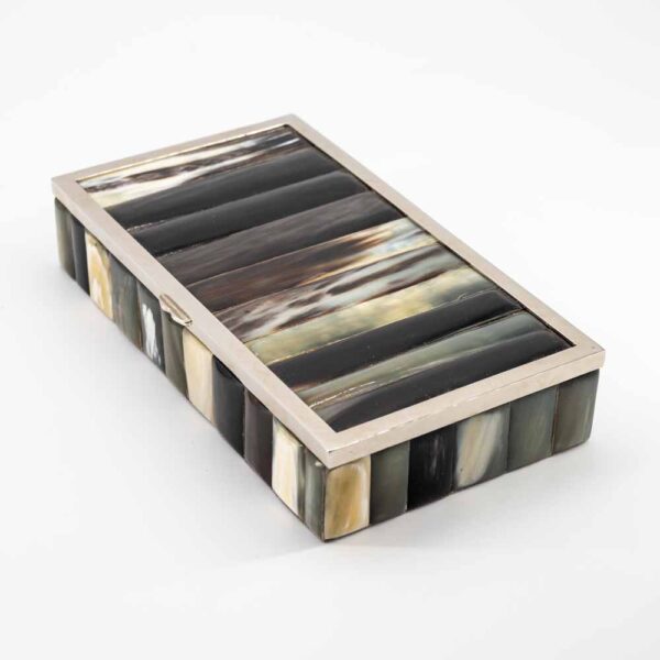 Vintage horns decoration and stainless steel box