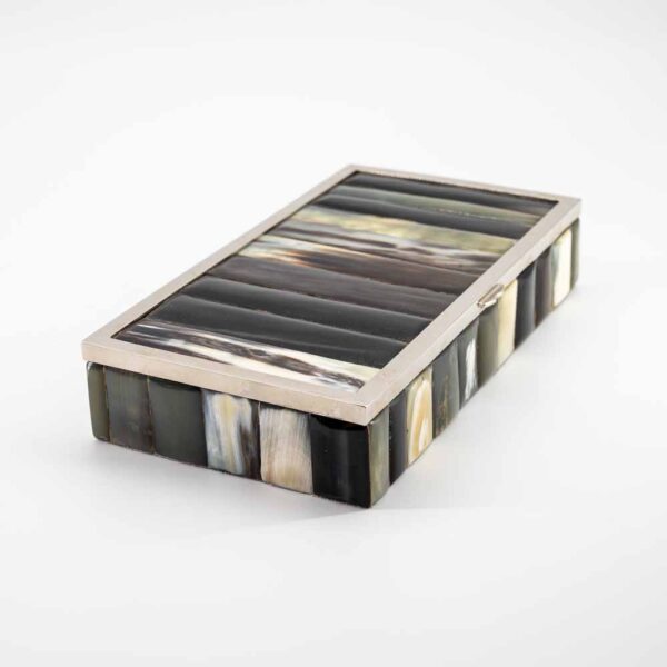 Vintage horns decoration and stainless steel box