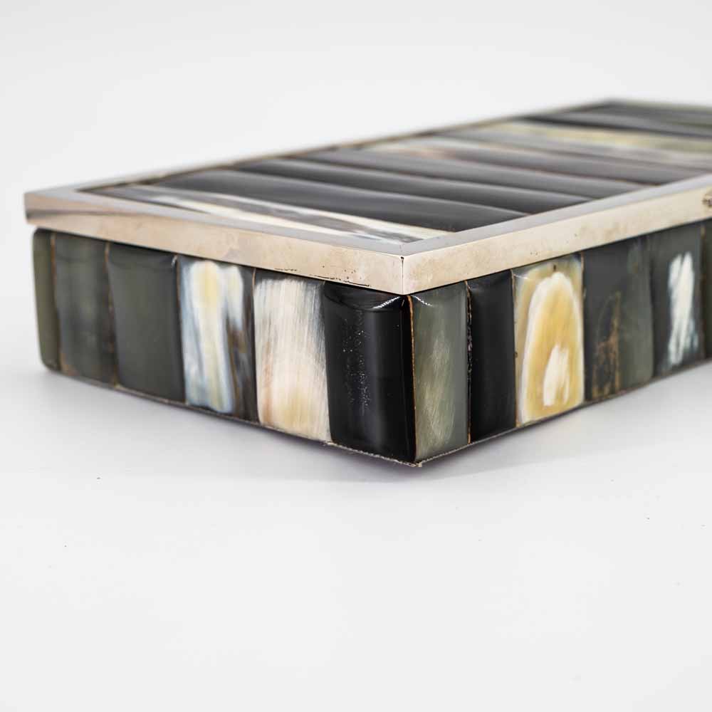 Vintage horn decor and stainless steel box-FM2470 (9)