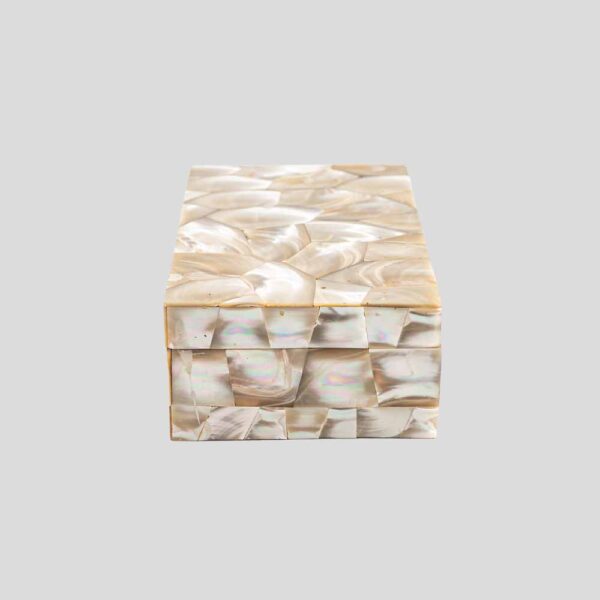 White mother of pearl decorated box