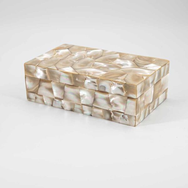 White mother of pearl decorated box